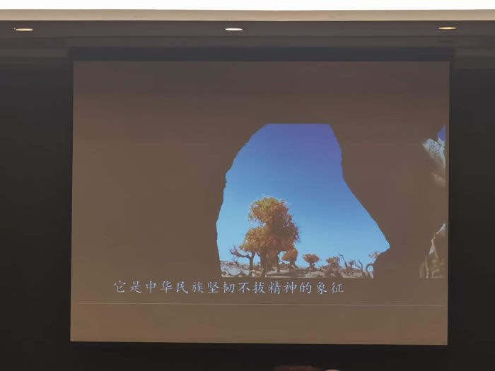 綿陽(yáng)中旅行假日旅行社舉行胡楊林、南疆專(zhuān)列推薦會(huì )