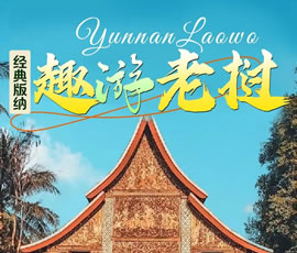 【趣游老撾 · 經(jīng)典版納】—昆明、普洱、西雙版納、磨丁、瑯勃拉邦四動(dòng)8日游